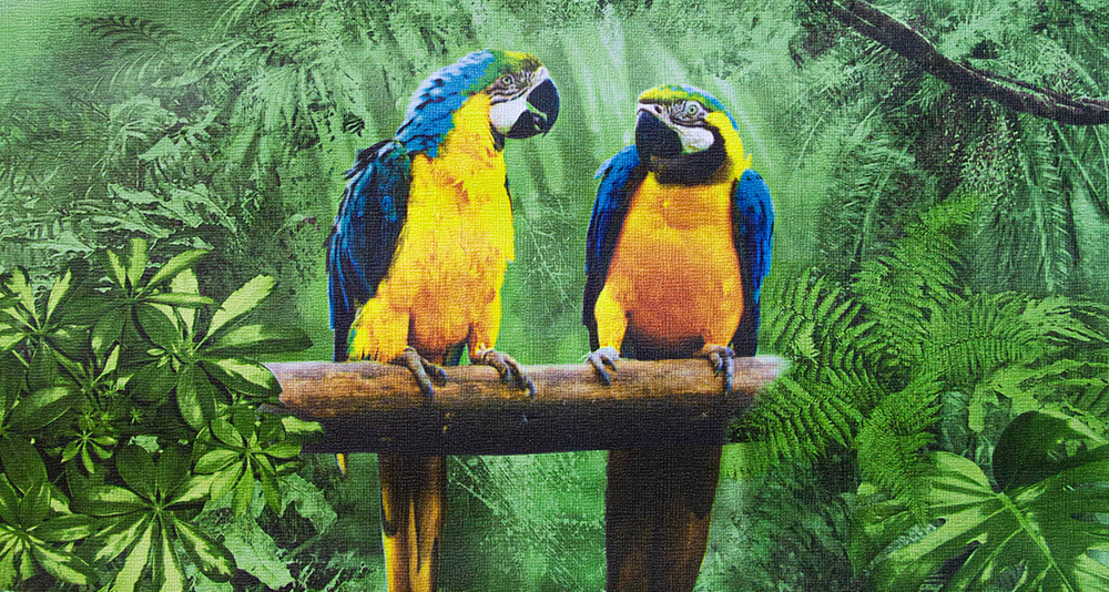 Фото обои в интерьере на законченном объекте. Видео.